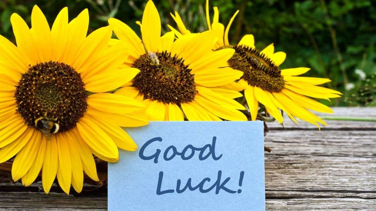 hinh-anh-chuc-ngay-moi-83 Hình ảnh chúc ngày mới may mắn và thành công