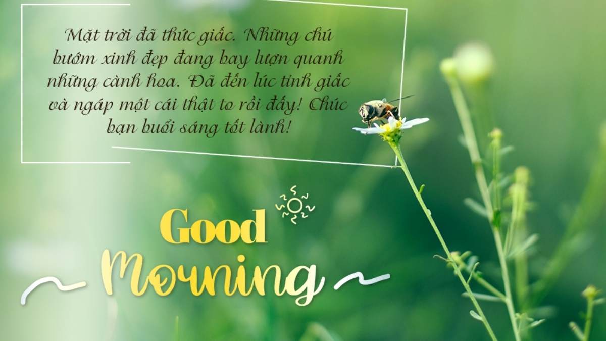 hinh-anh-chuc-ngay-moi-90 Hình ảnh ngày mới an lành và bình yên