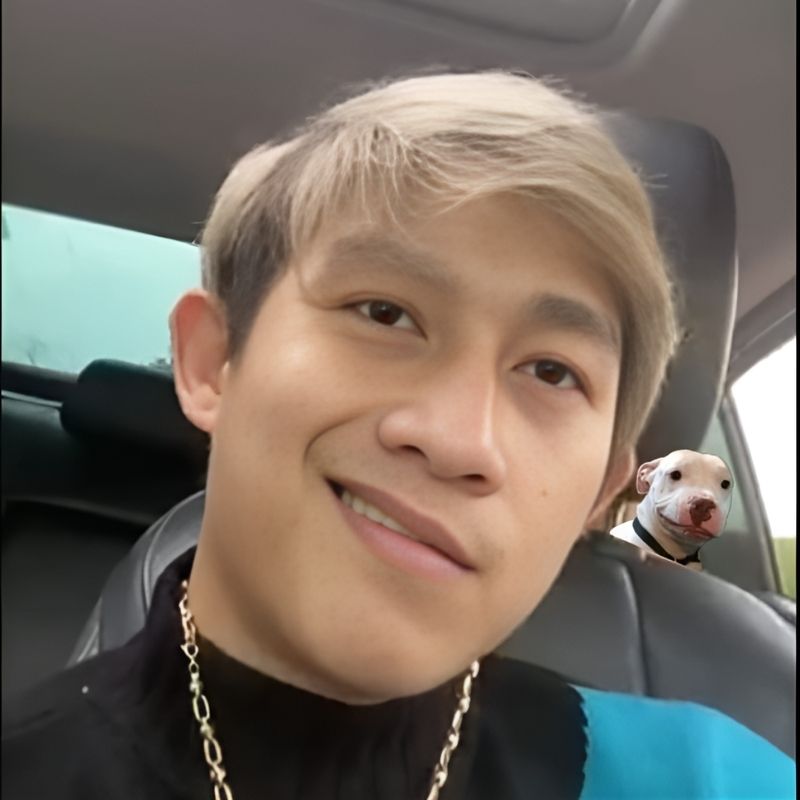 meme-cuoi-7 tải hình ảnh meme mèo cười đểu