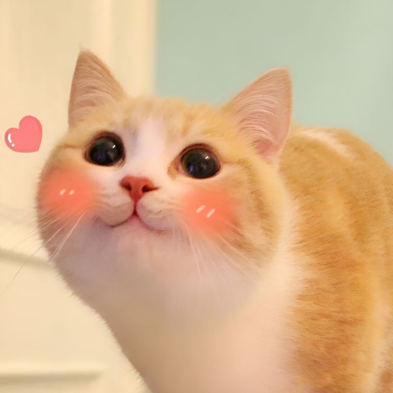 meme-cuoi-14 tải ảnh Meme cười mỉm dễ thương