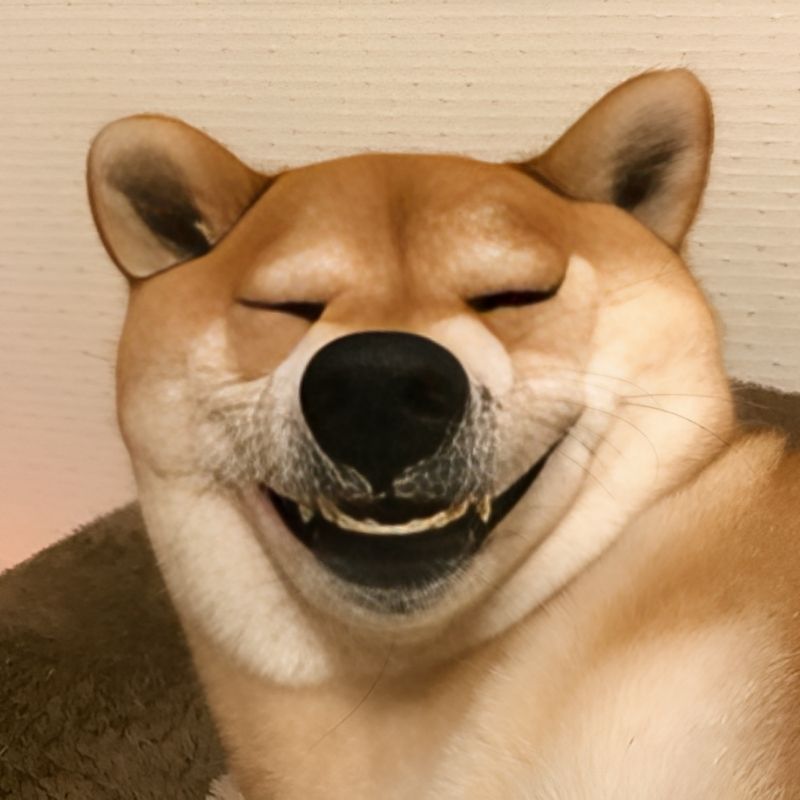 meme-cuoi-101 Meme chó cười điên dại