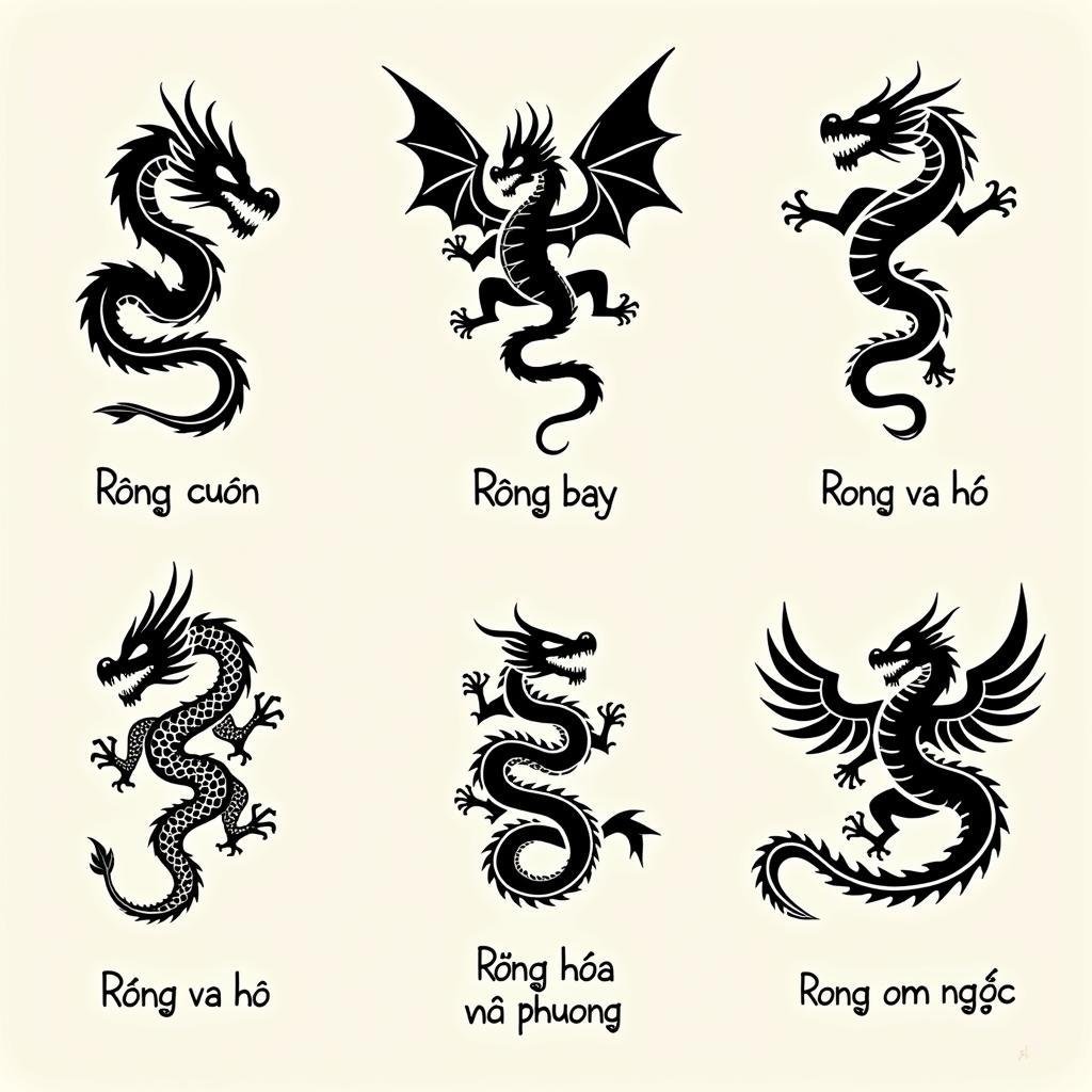 cac mau hinh xam rong pho bien y nghia 67bc26 1