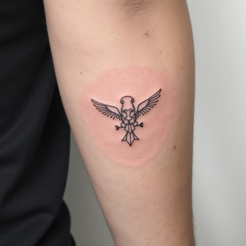 hinh xam bap tay nam mini don gian 67bcd2 1