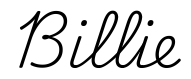 billie签名范例