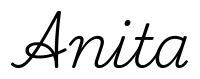 anita签名范例