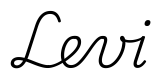 levi签名范例