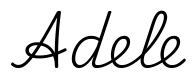 adele签名范例