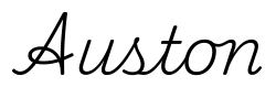auston签名范例
