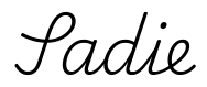 sadie签名范例
