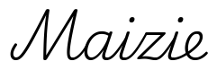 maizie签名范例