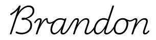 brandon签名范例