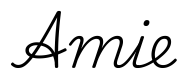 amie签名范例