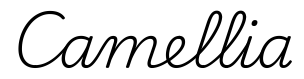 camellia签名范例