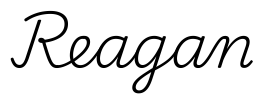 reagan签名范例