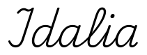 idalia签名范例