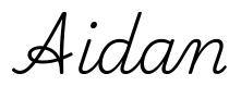 aidan签名范例