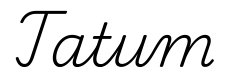 tatum签名范例