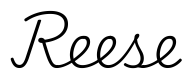 reese签名范例