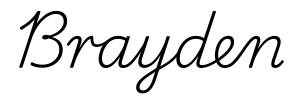 brayden签名范例