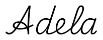 adela签名范例