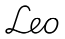 leo签名范例