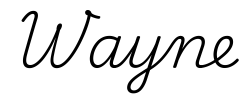 wayne签名范例