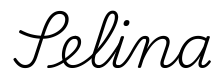selina签名范例